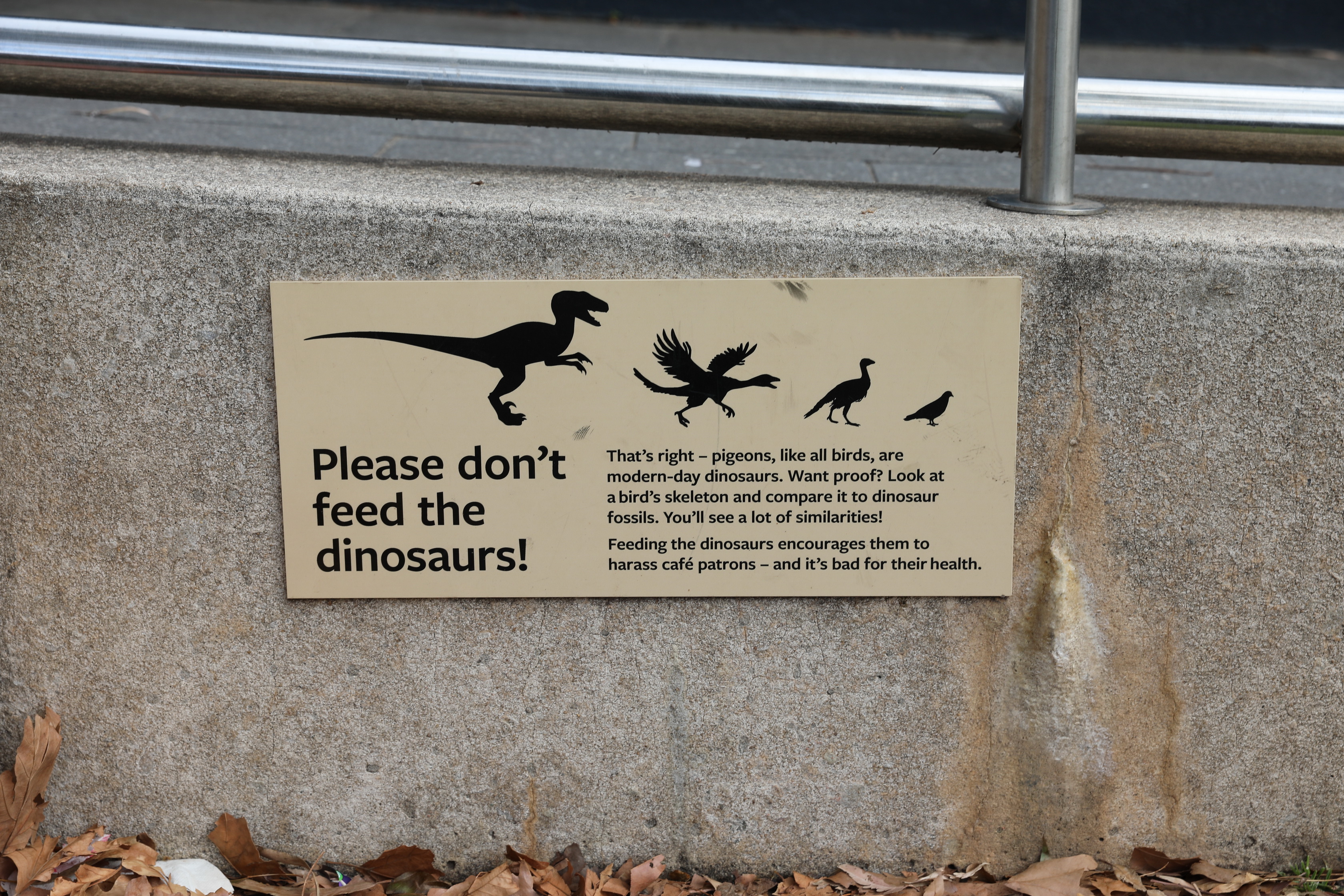 2019 09 22 16 35 01 Canon EOS 5D Mark IV 0012